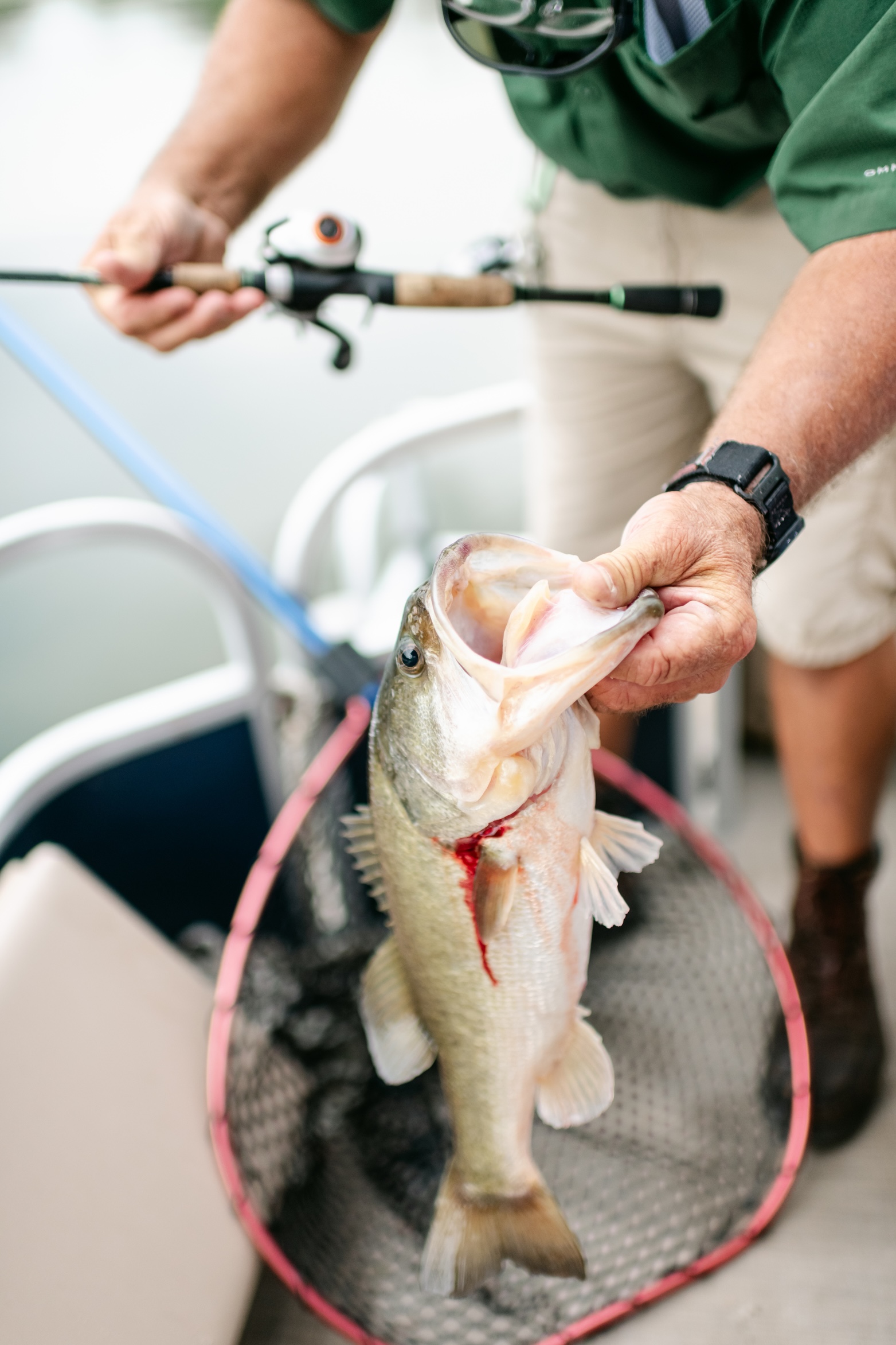 A bass caught on a guided fishing tour at Streamsong