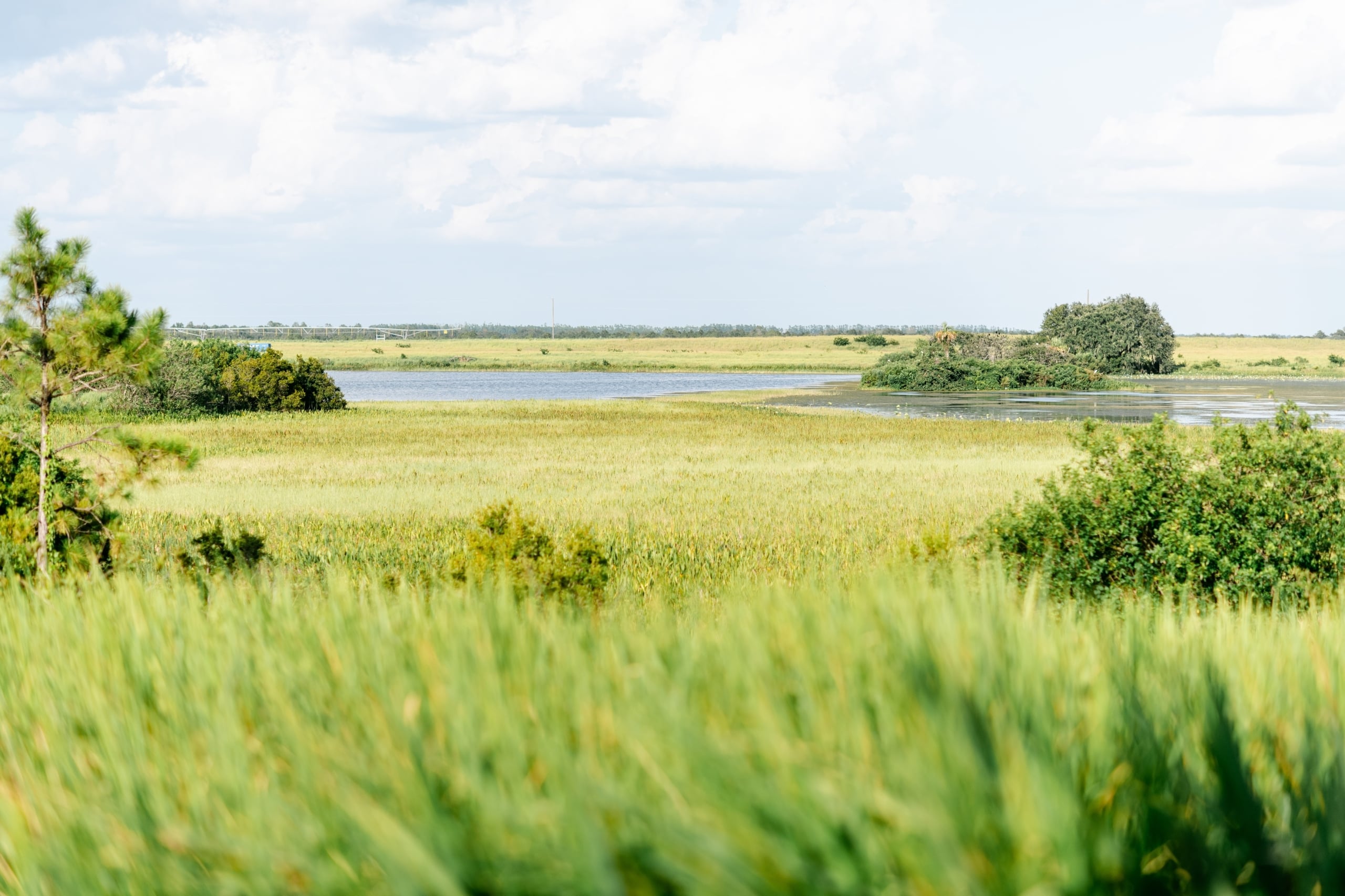 The landscape near Streamsong Resort